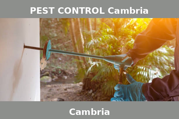 PEST CONTROL Cambria